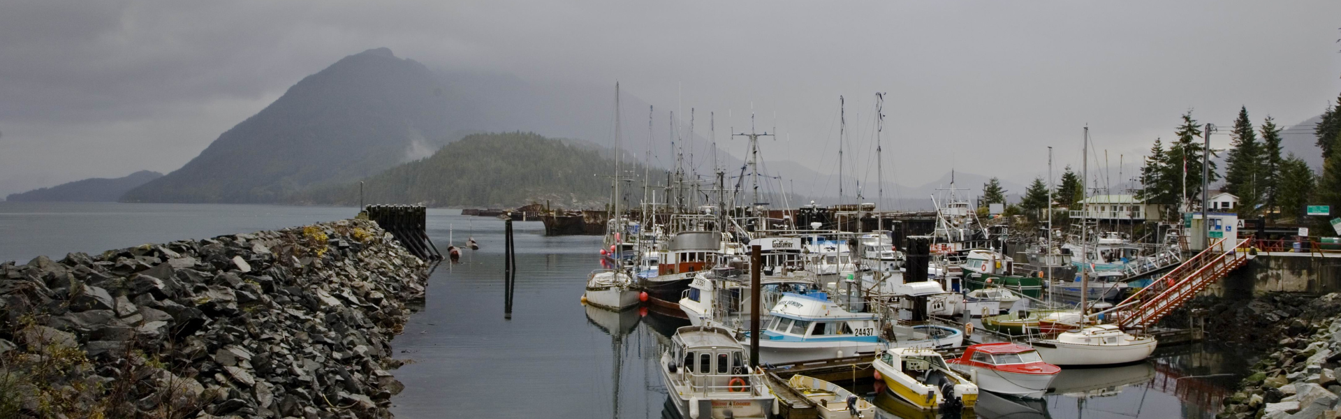 sayward marina